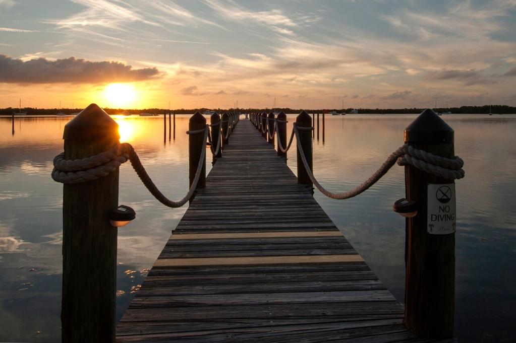 Coconut Palm Inn Tavernier Природа снимка